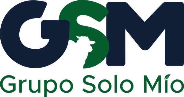 Logo GSM - Grupo Solo Mio